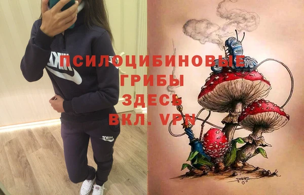 мяу мяу мука Орехово-Зуево