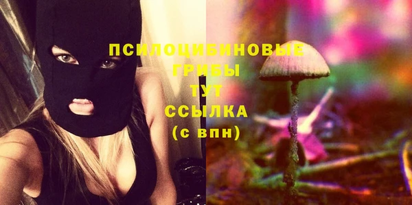 бошки Долгопрудный
